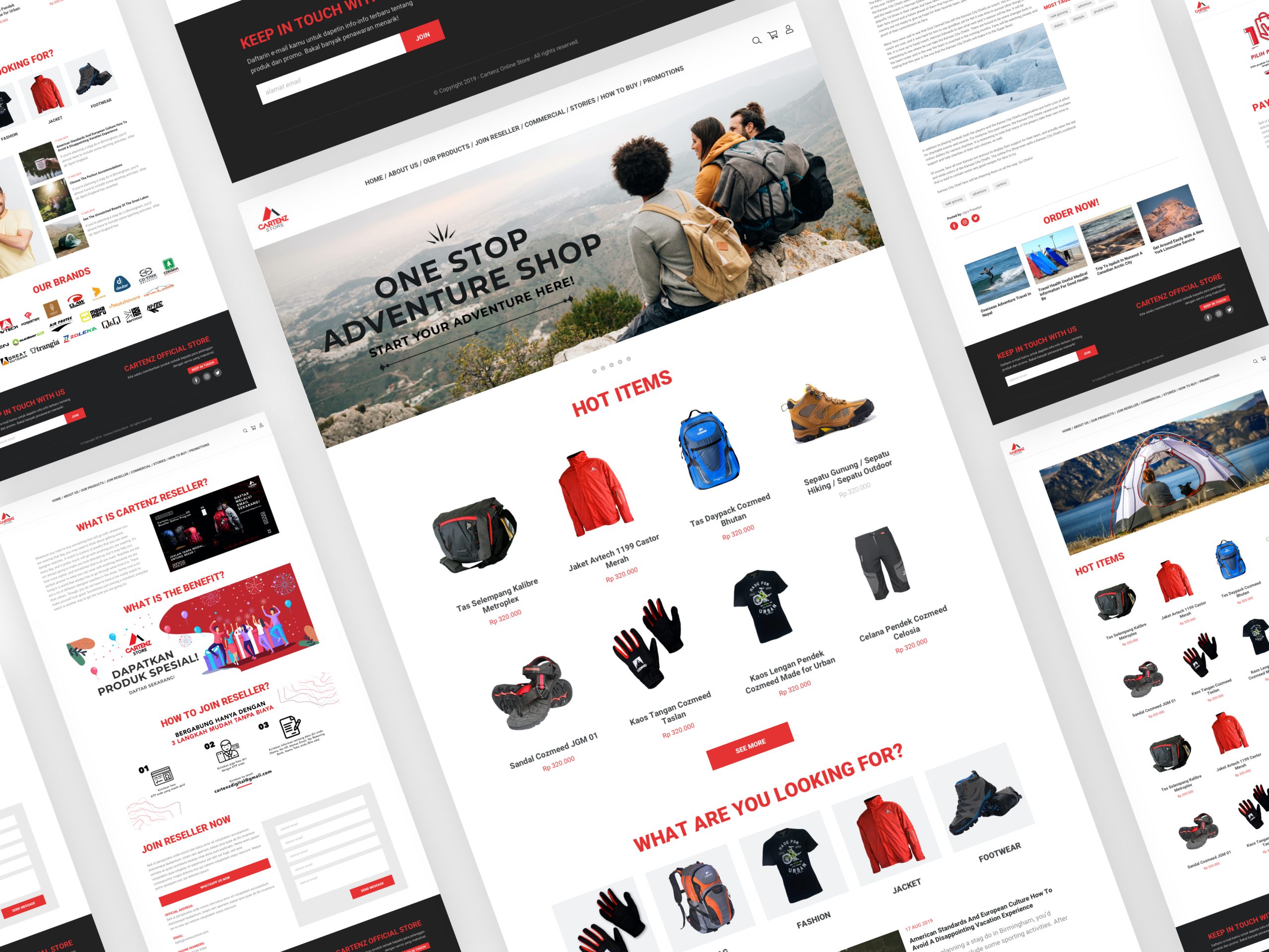 Cartenz Store E-Commerce Website